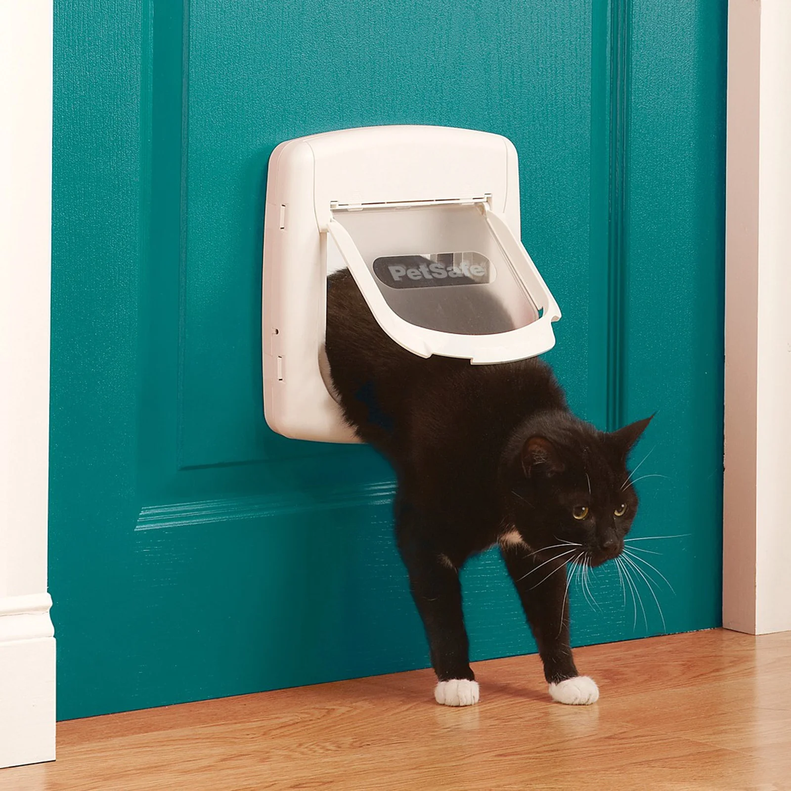 PetSafe Deluxe Cat Flap Tunnel - Image 4
