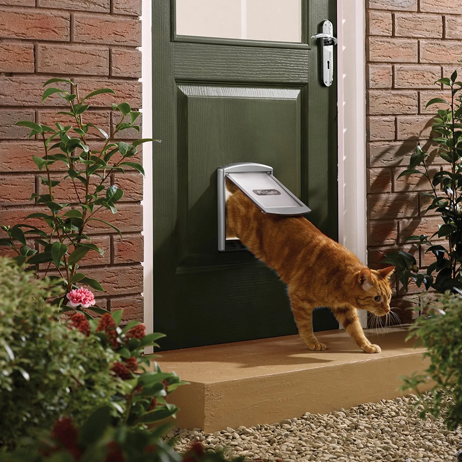 PetSafe Original Cat Flap - Image 3